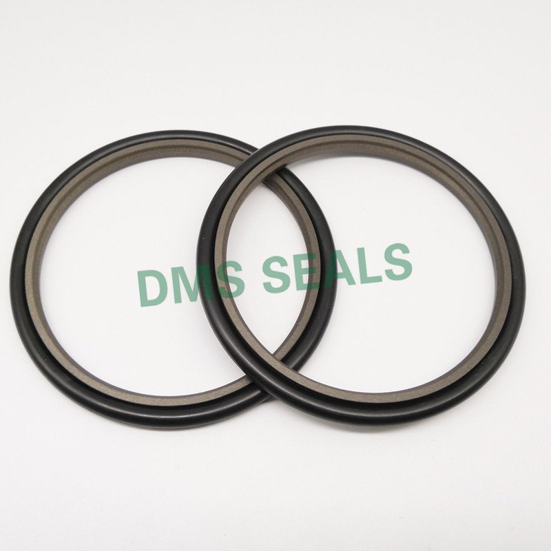 DMS Seal Manufacturer-GSJ - Bronze PTFE Hydraulic Rod Seal Step Seal with NBRFKM O-Ring