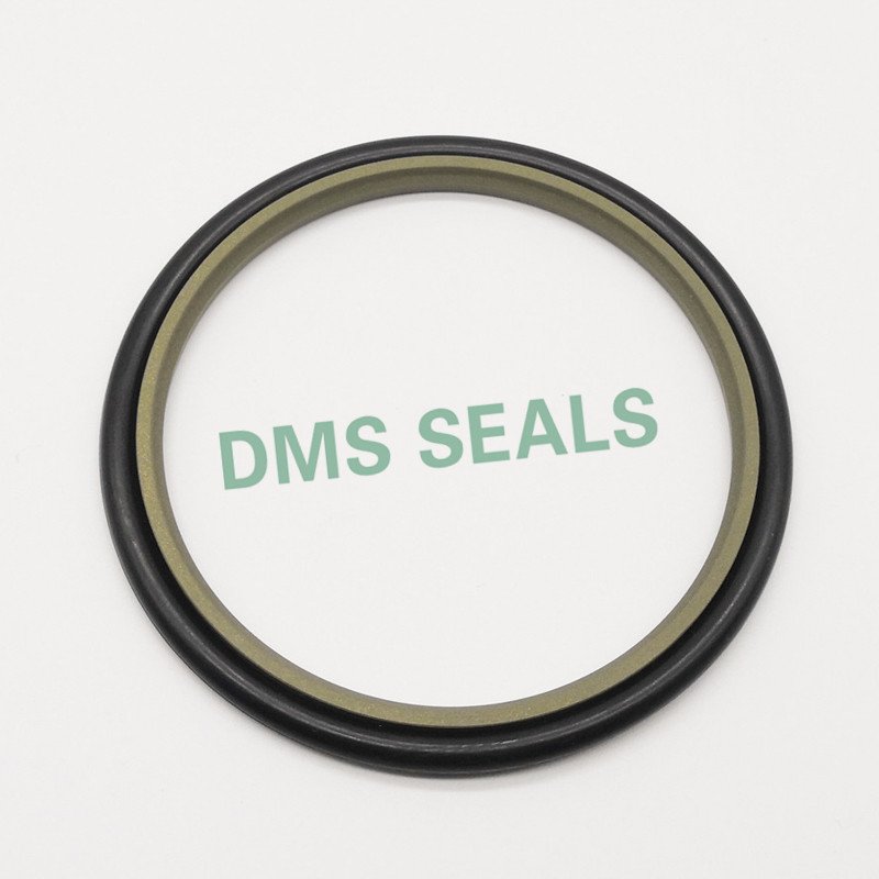 DMS Seal Manufacturer-Best Rod Seals Gsj - Bronze Ptfe Hydraulic Rod Step Seal With Nbrfkm O-ring