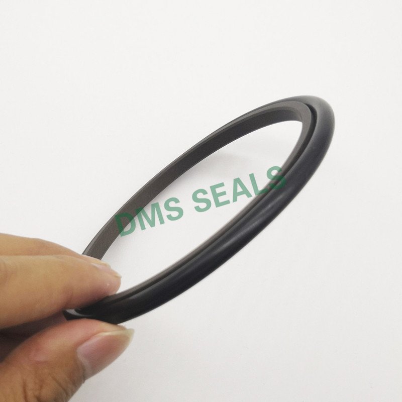 DMS Seal Manufacturer-Professional O-ring Seal Rod Seal Catalogue Supplier-1