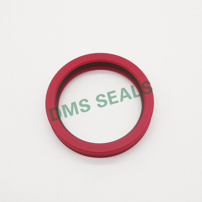 DMS Seal Manufacturer-hydraulic rod seals online | Rod Seals | DMS Seal Manufacturer-1