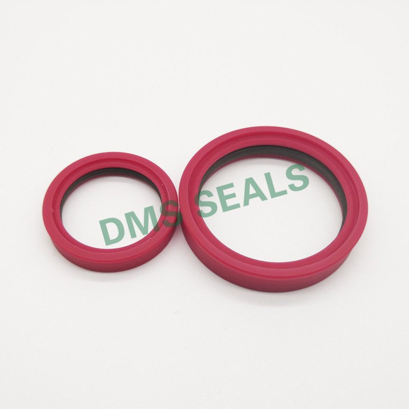 DMS Seal Manufacturer-O Ring Manufacturers | Tdi - Ptfe Hydraulic Rod Seal With Nbr Or Pu - Dms-1