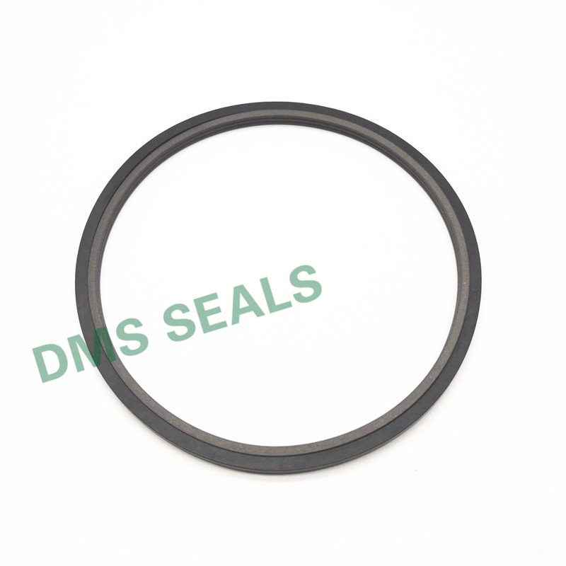 application-best hydraulic rod seals supply to high and low speed-DMS Seals-img