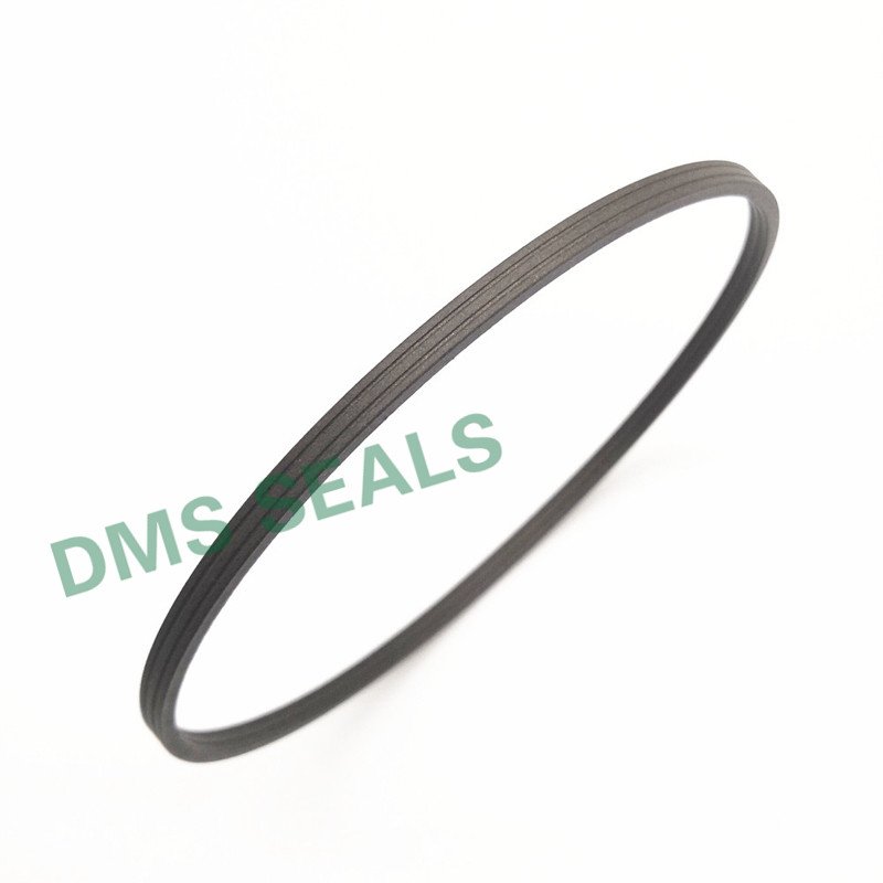 DMS Seal Manufacturer-Manufacturer Of O-ring Seal Spn - Ptfe Hydraulic Rod Seal With Nbrfkm O-ring