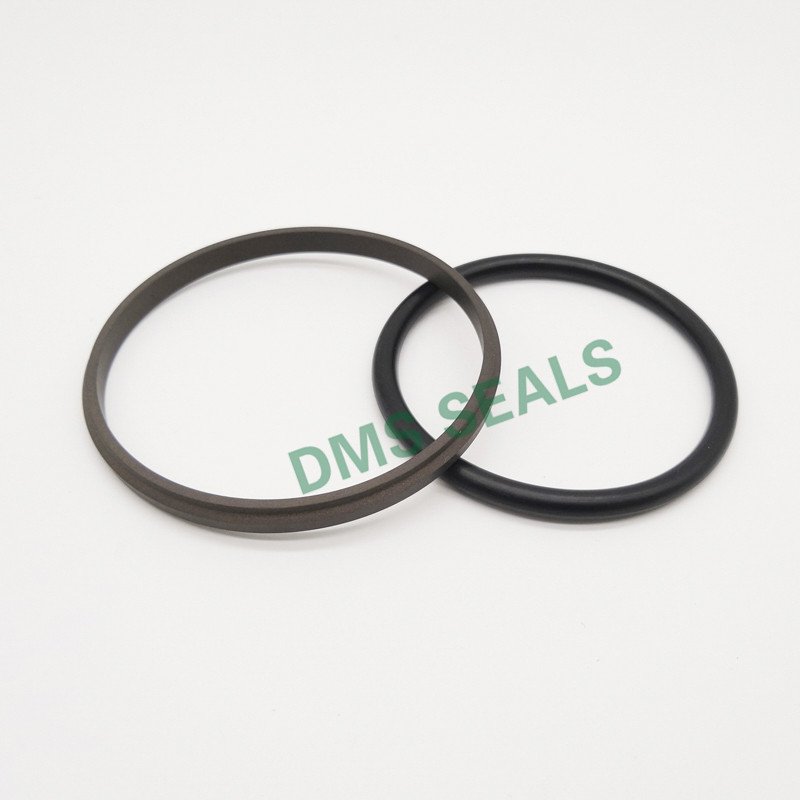DMS Seal Manufacturer-GSD - PTFE Hydraulic Piston Seal with NBRFKM O-Ring-3