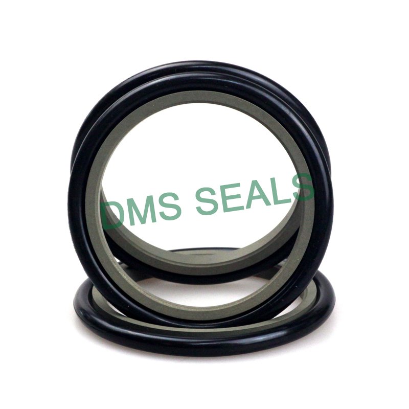 DMS Seal Manufacturer-GZT - PTFE Hydraulic Rod Seal with NBRFKM O-Ring