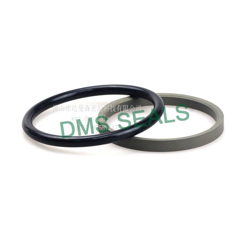 DMS Seal Manufacturer-GZT - PTFE Hydraulic Rod Seal with NBRFKM O-Ring-1
