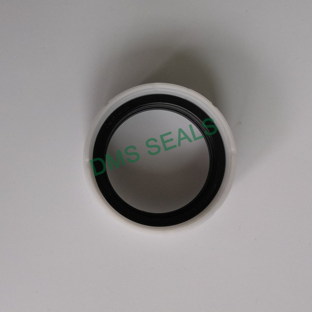 DMS Seal Manufacturer-rod seal | Others | DMS Seal Manufacturer-1