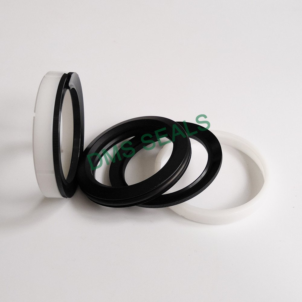 DMS Seal Manufacturer-Find O-ring Seal Hydraulic Piston Seals From Dms Seal Manufacturer-2