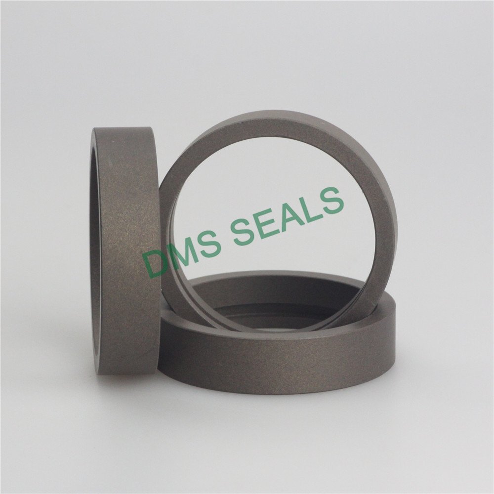 DMS Seal Manufacturer tape bearing element guide strip as the guide sleeve-2