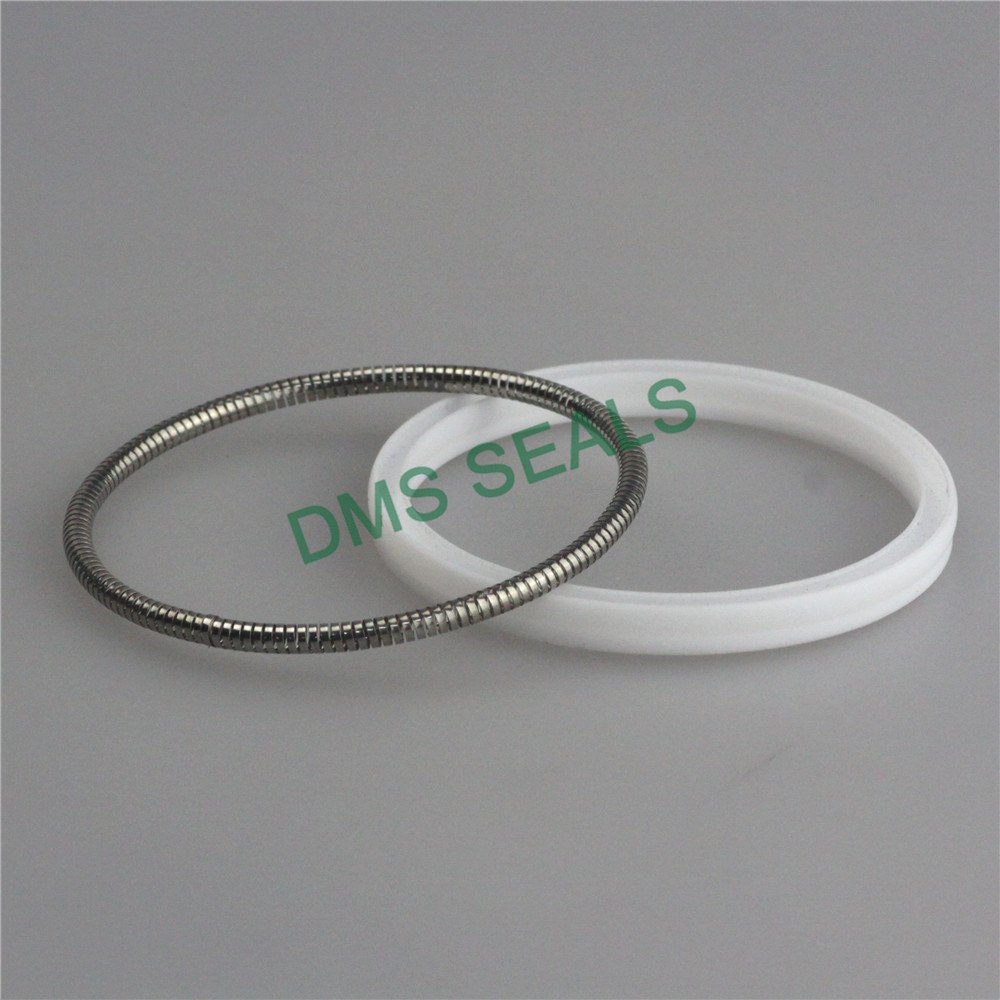 product-ptfe spring seals supplier for reciprocating piston rod or piston single acting seal-DMS Sea