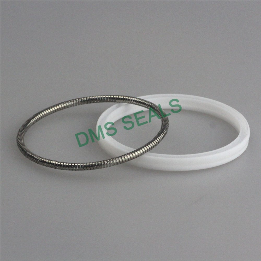 DMS Seal Manufacturer-spring energized seals | Spring Seals | DMS Seal Manufacturer