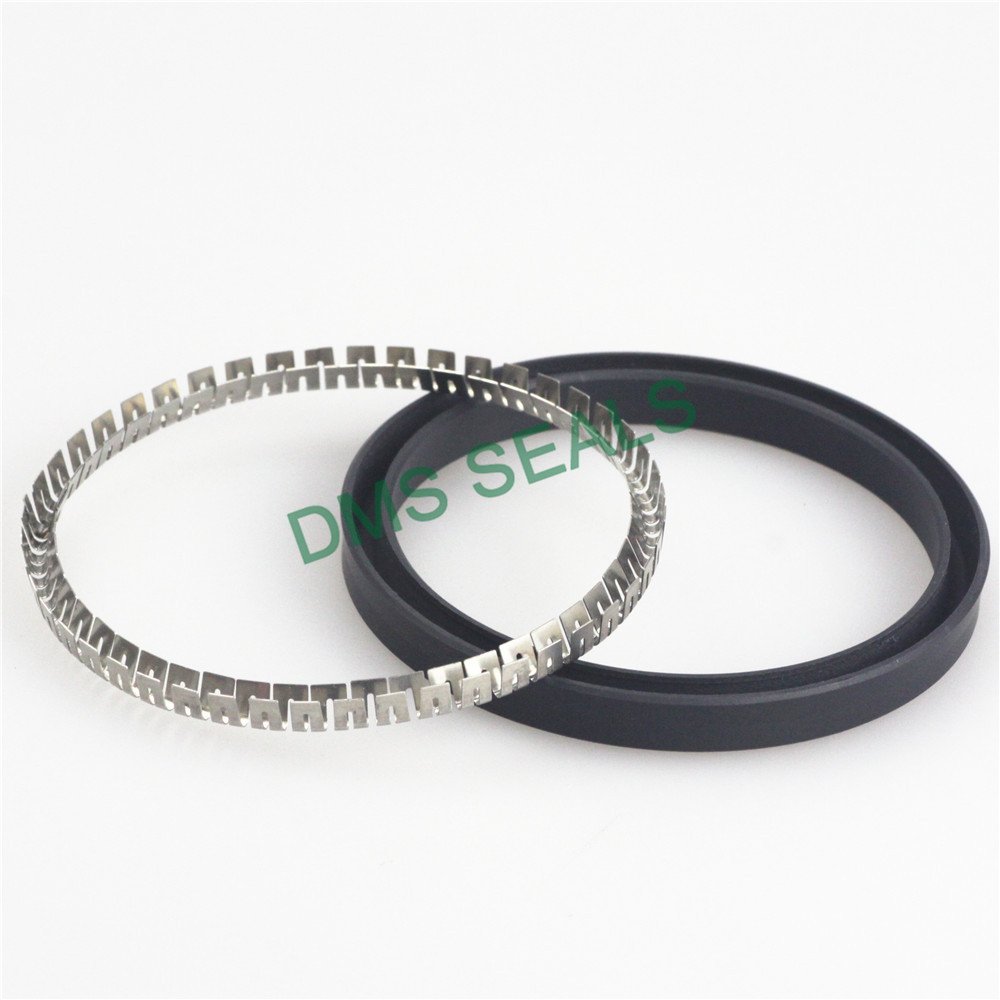 DMS Seal Manufacturer-spring seals ,spring loaded seal | DMS Seal Manufacturer-2