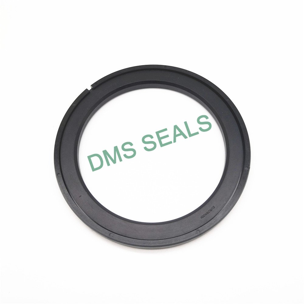 DMS Seal Manufacturer hydraulic piston seals glyd ring for light and medium hydraulic systems-3