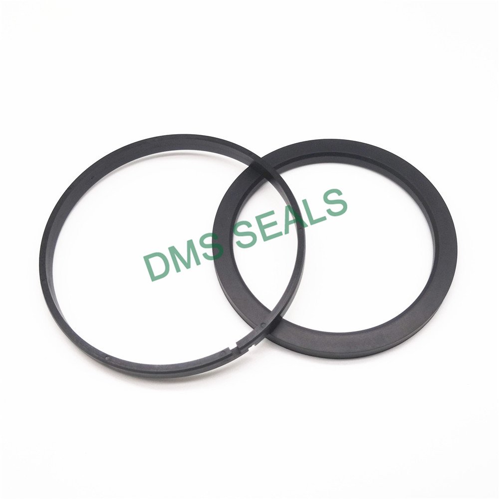 DMS Seal Manufacturer-OK - PTFE Hydraulic Piston Seal with NBRFKM O-Ring-2