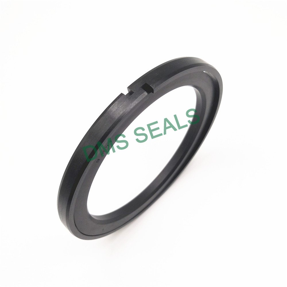 DMS Seal Manufacturer-Piston Seals Ok - Ptfe Hydraulic Piston Seal With Nbrfkm O-ring-1