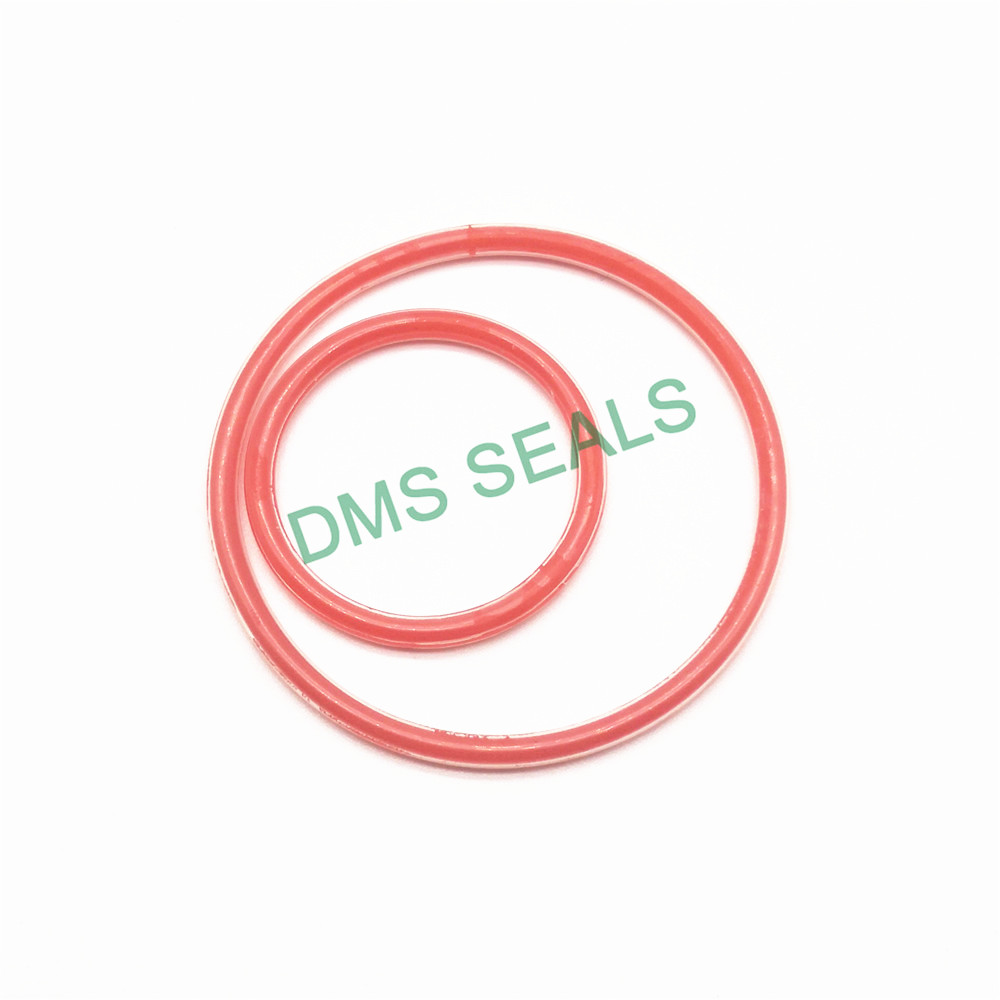 DMS Seal Manufacturer-PTFE teflon FEP PFA encapsulated silicone O-Ring-1