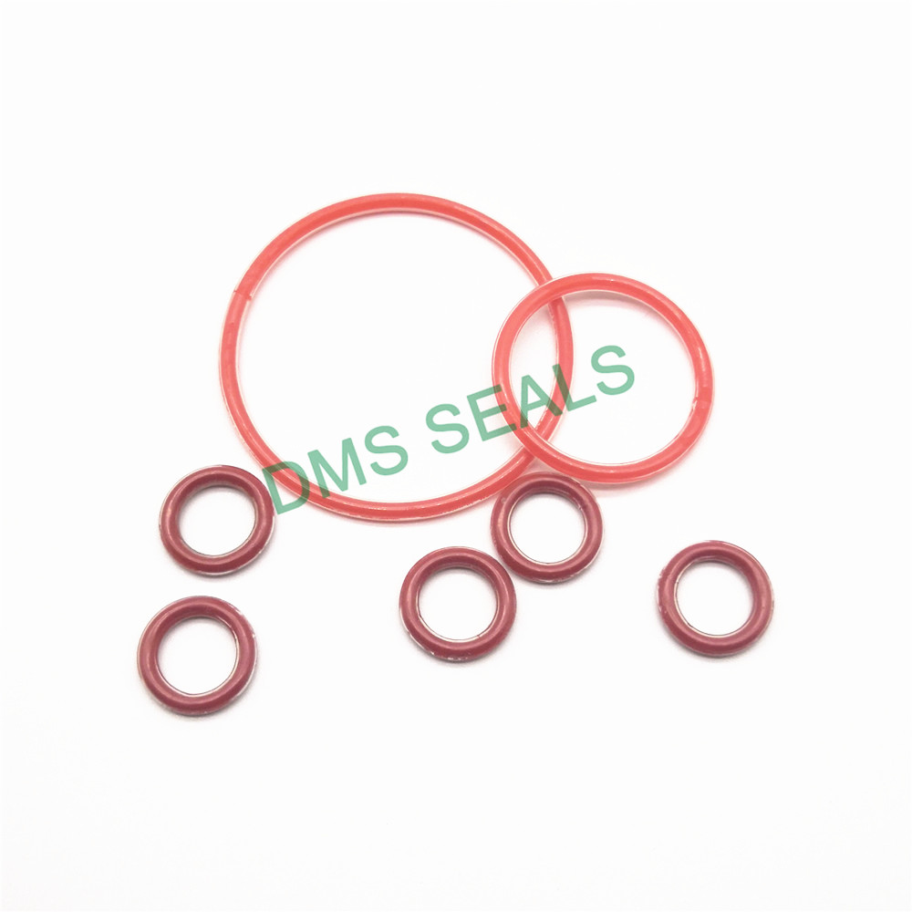 DMS Seal Manufacturer-O-ring Seal Manufacture | Ptfe Teflon Fep Pfa Encapsulated Silicone O-ring-1