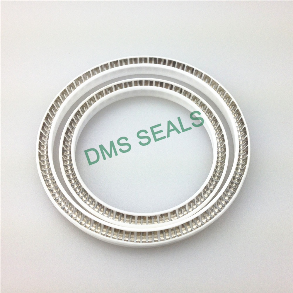 spring energized seals solutions for reciprocating piston rod or piston single acting seal DMS Seal Manufacturer-3
