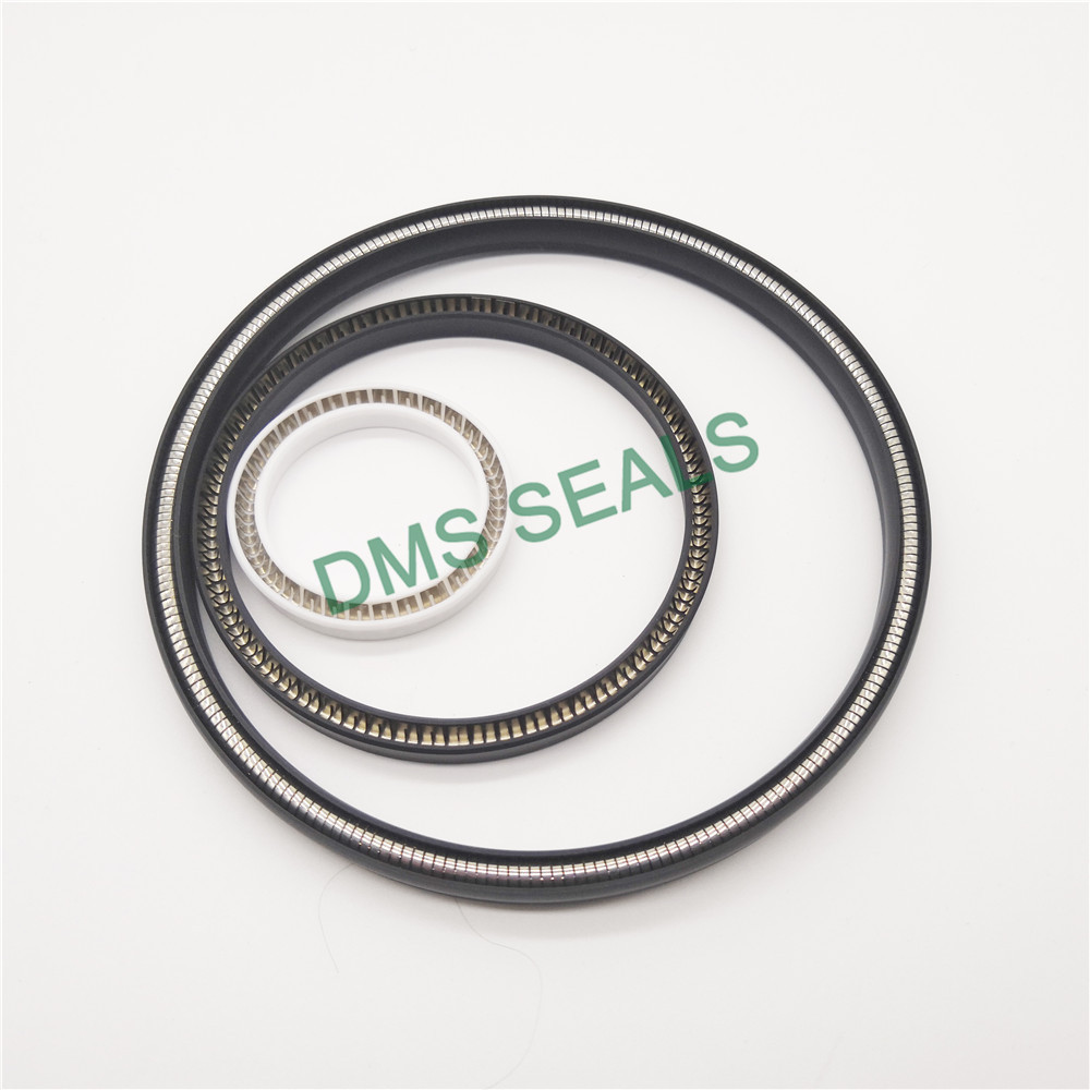 DMS Seal Manufacturer Array image672