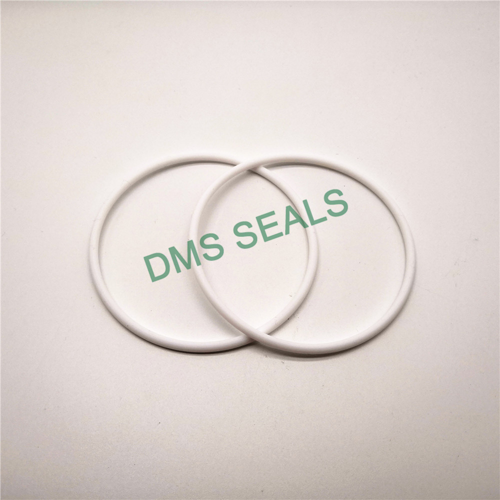 DMS Seal Manufacturer o ring kit manufacturer with a diisocyanate or a polymeric isocyanate in highly aggressive chemical processing-2