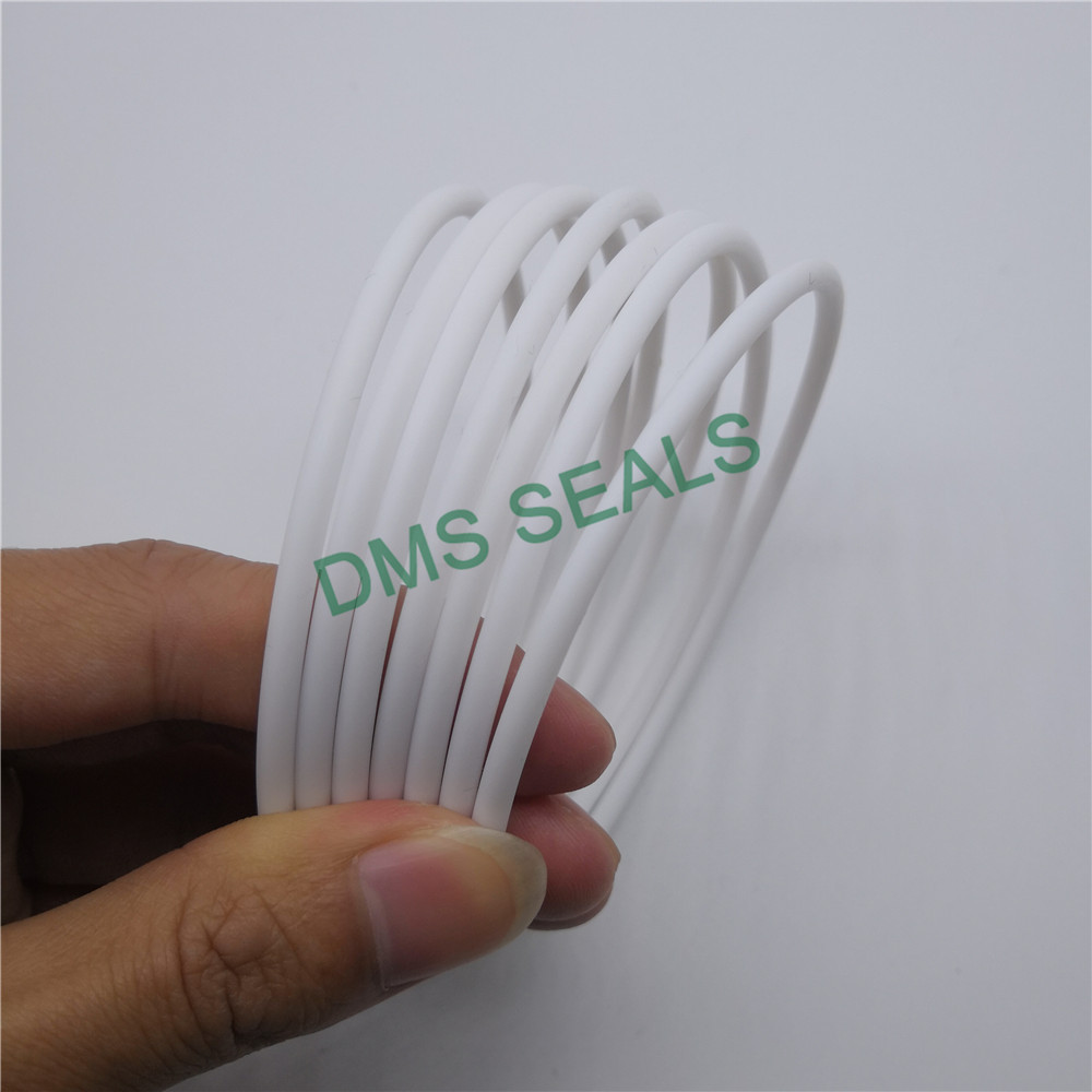 DMS Seal Manufacturer-Vrigin PTFE teflon white O-Ring-1
