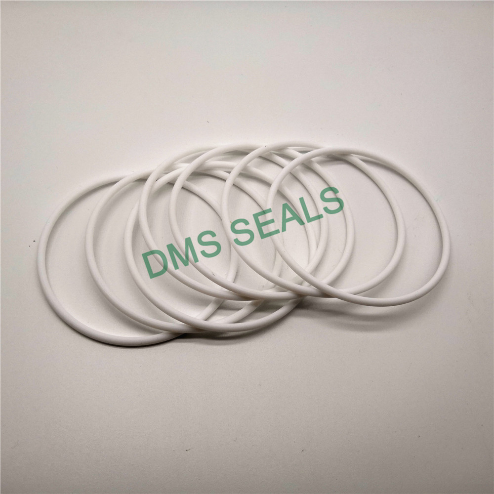 DMS Seal Manufacturer-Vrigin PTFE teflon white O-Ring-2