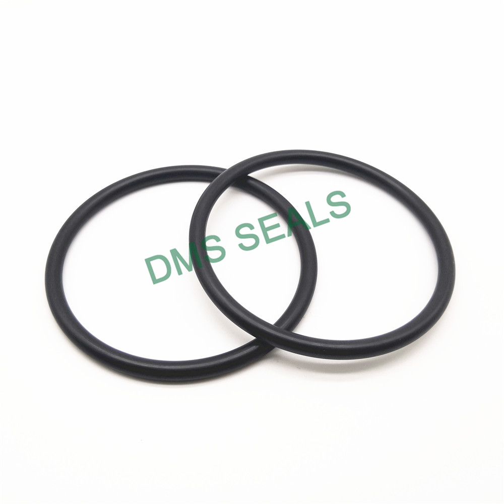 DMS Seal Manufacturer-Manufacturer NBR70 NBR90 Nitrile Rubber Buna-N O-Ring-2