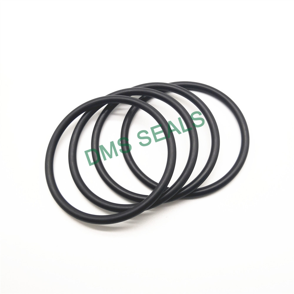 Custom specialty o rings Suppliers for sale-O-ring Seal-Oil Seal Manufacturer-DMS Seals-img