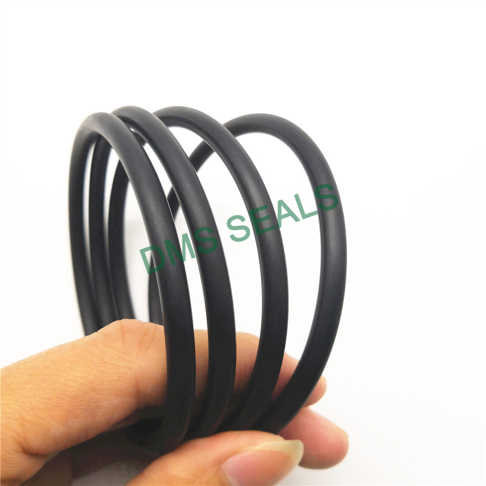 Latest o ring kit manufacturer factory price for static sealing-O-ring Seal-Oil Seal Manufacturer-DM