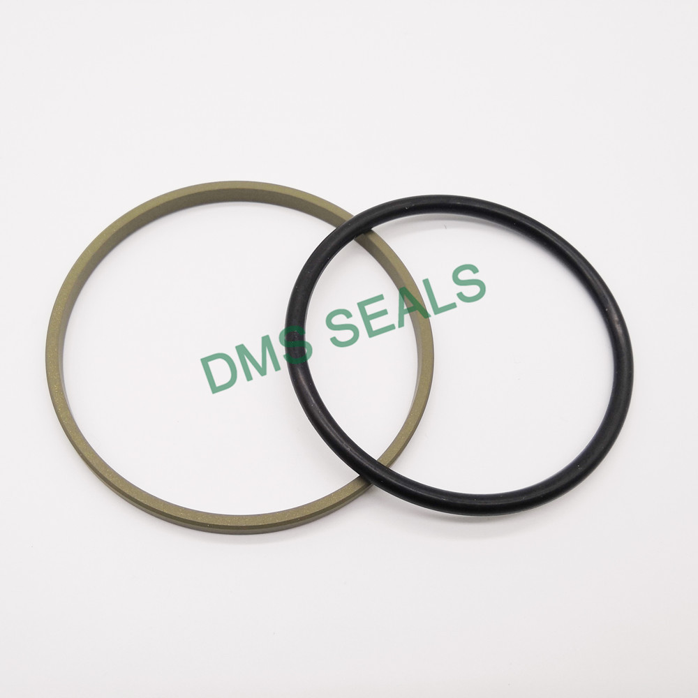 application-compact hydraulic piston seals with ptfe nbr and pom for sale-DMS Seals-img