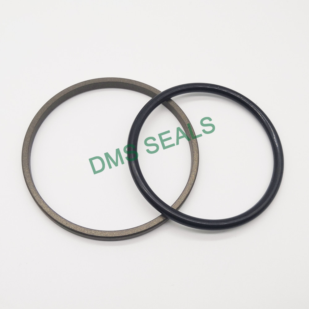 compact hydraulic piston seals with ptfe nbr and pom for sale-DMS Seals-img
