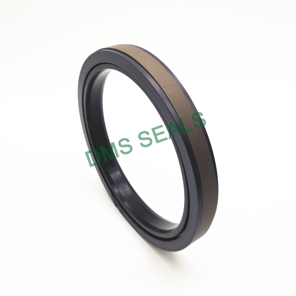 DMS Seal Manufacturer-piston seals | Piston Seals | DMS Seal Manufacturer-1