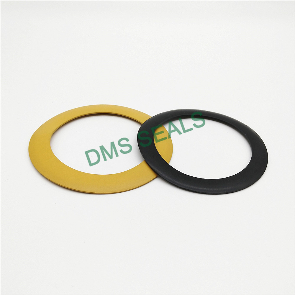 elastomeric gasket Gasket DMS Seal Manufacturer