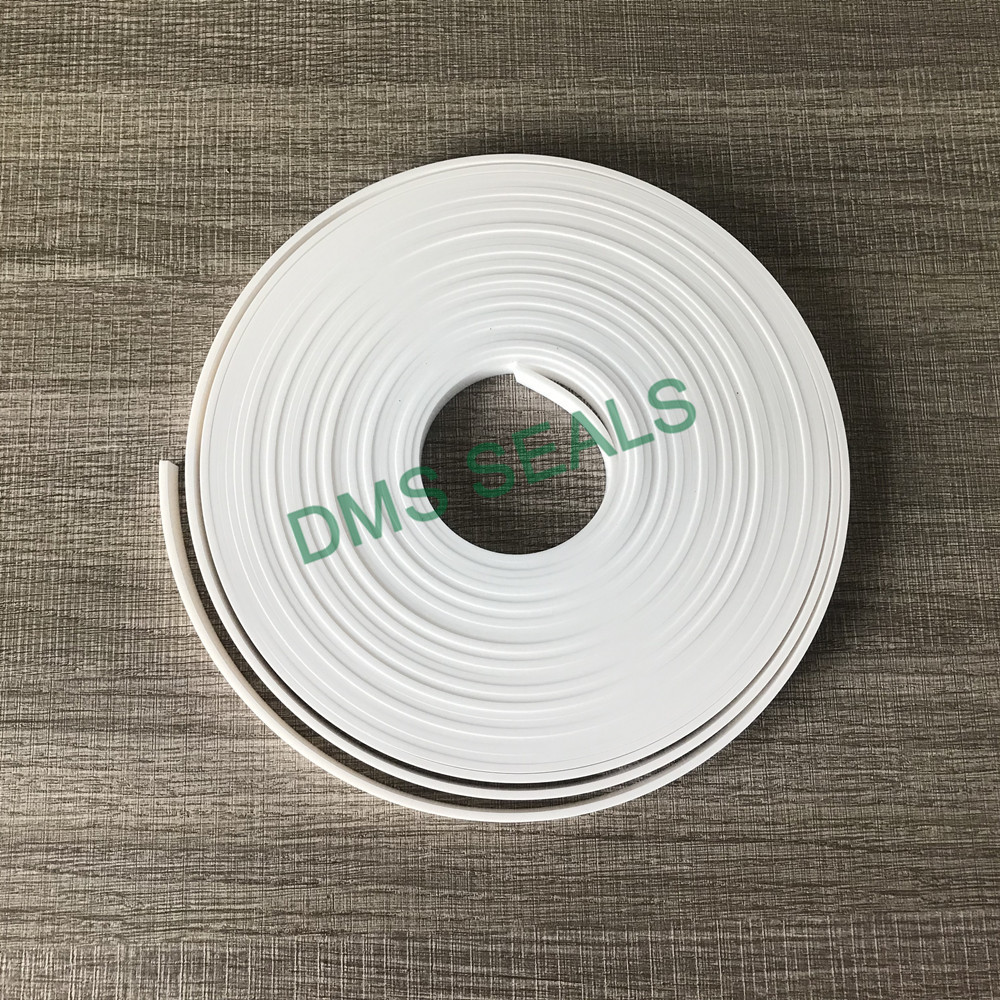 DMS Seal Manufacturer ptfe oil seal manufacturer with nbr or fkm o ring as the guide sleeve-3