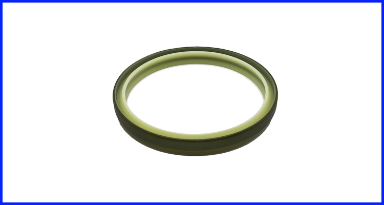 DMS Seals molded rubber seals-2