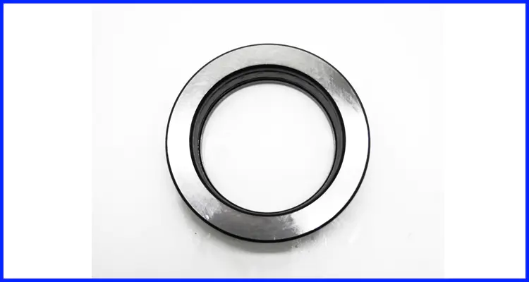 DMS Seals rubber seals and gaskets suppliers supplier for larger piston clearance