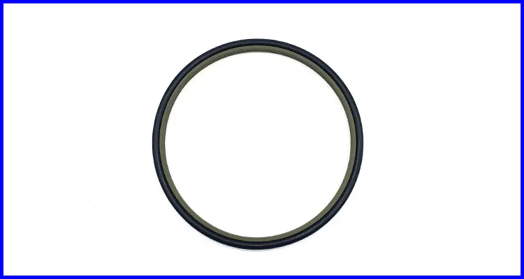 DMS Seals Best shaft wiper seal cost for injection molding machines