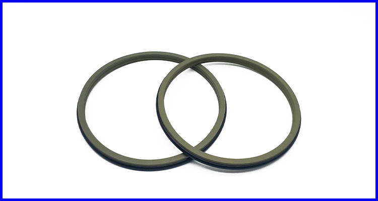 DMS Seals Best shaft wiper seal cost for injection molding machines-1