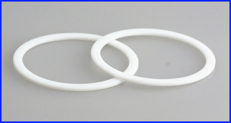 DMS Seals white rubber gasket material factory for preventing the seal from being squeezed-1