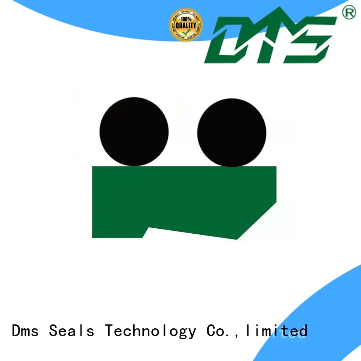 DMS Seal Manufacturer Top rod wiper seals for business for forklifts
