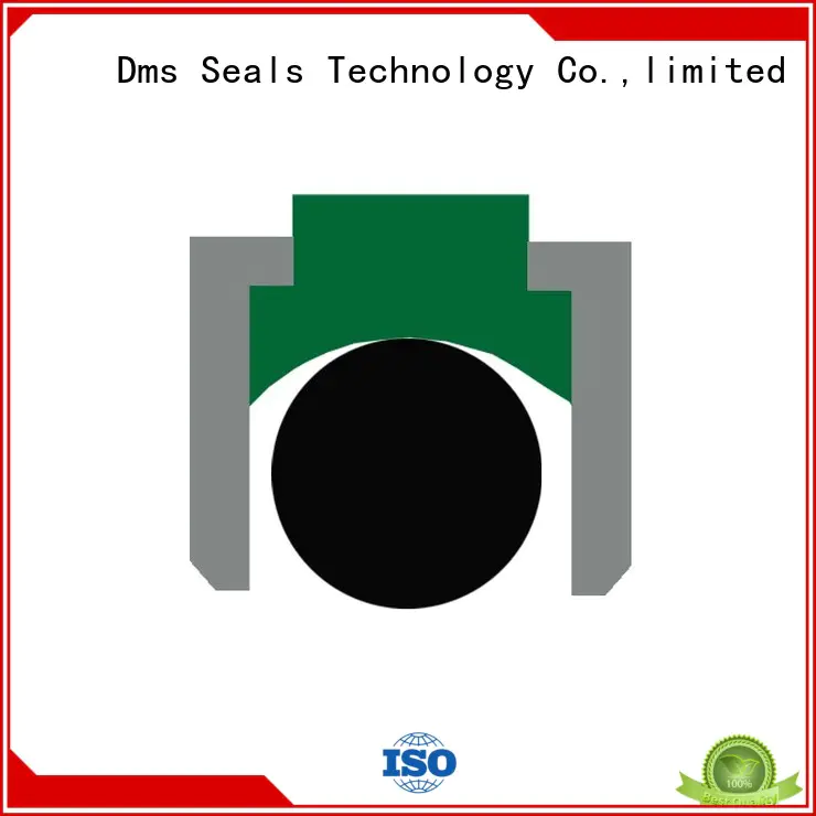 Quality DMS Seal Manufacturer Brand pneumatic piston seals hydraulic