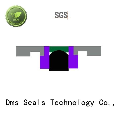 Quality DMS Seal Manufacturer Brand oring seal piston seals