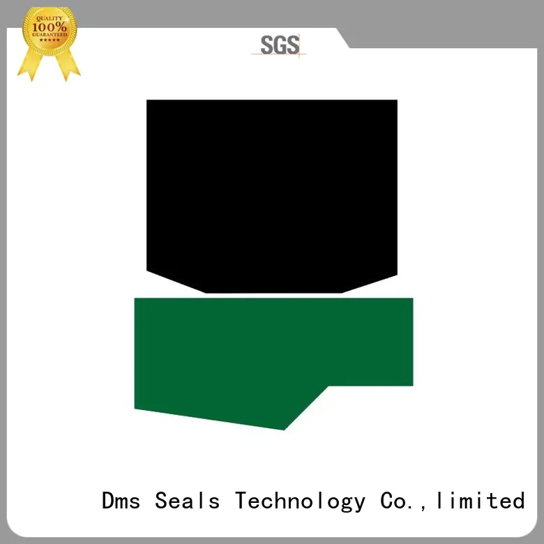 rod seal rod seals nbrfkm hydraulic DMS Seal Manufacturer company