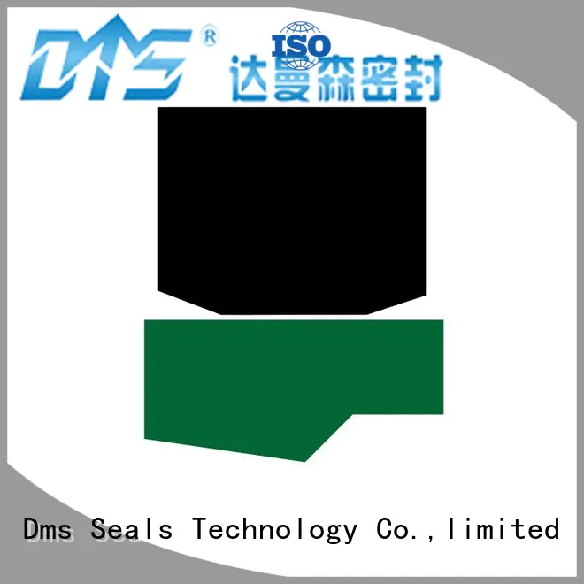 oring nbrfkm seal hydraulic rod seals DMS Seal Manufacturer
