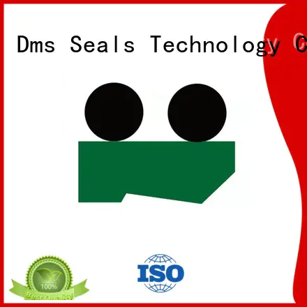 hydraulic ptfepu DMS Seal Manufacturer Brand hydraulic wiper seals
