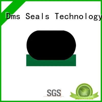DMS Seal Manufacturer best hydraulic rod seals supplier for pressure work and sliding high speed occasions
