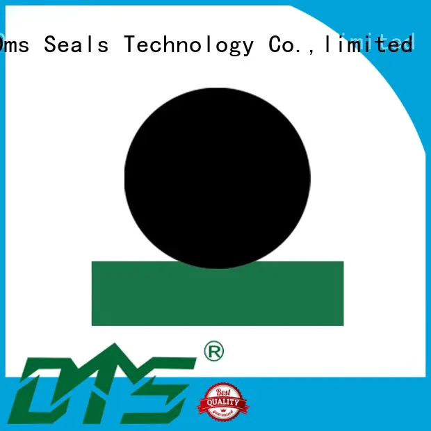DMS Seal Manufacturer Brand oring ptfe seal rod rod seals
