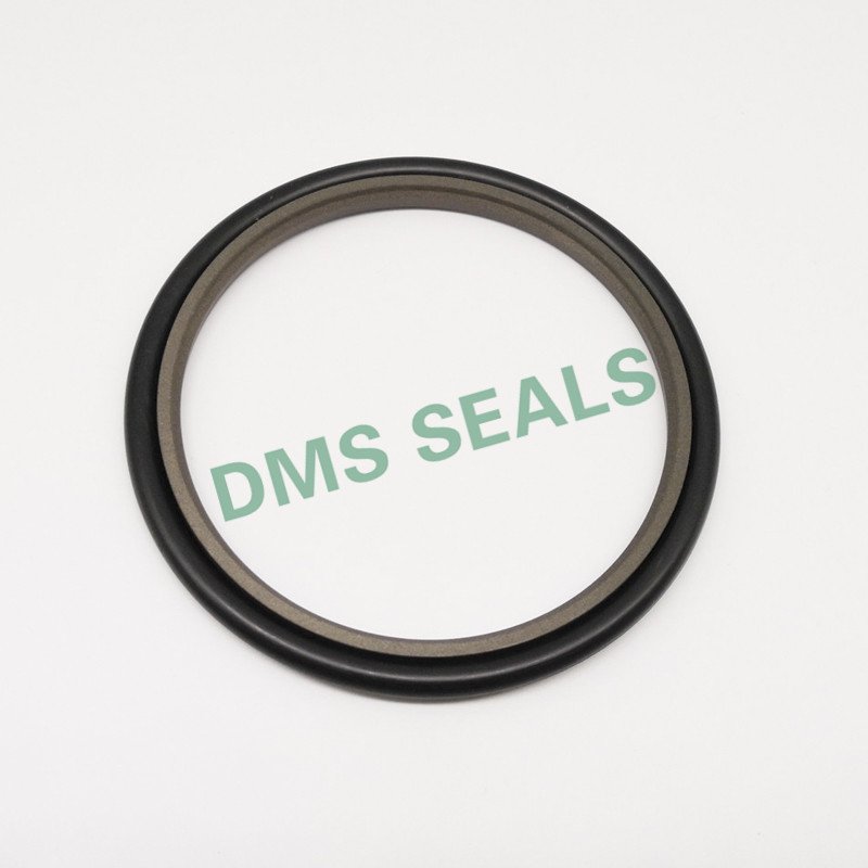 DMS Seals Wholesale shaft wiper seal manufacturer to high and low speed-3