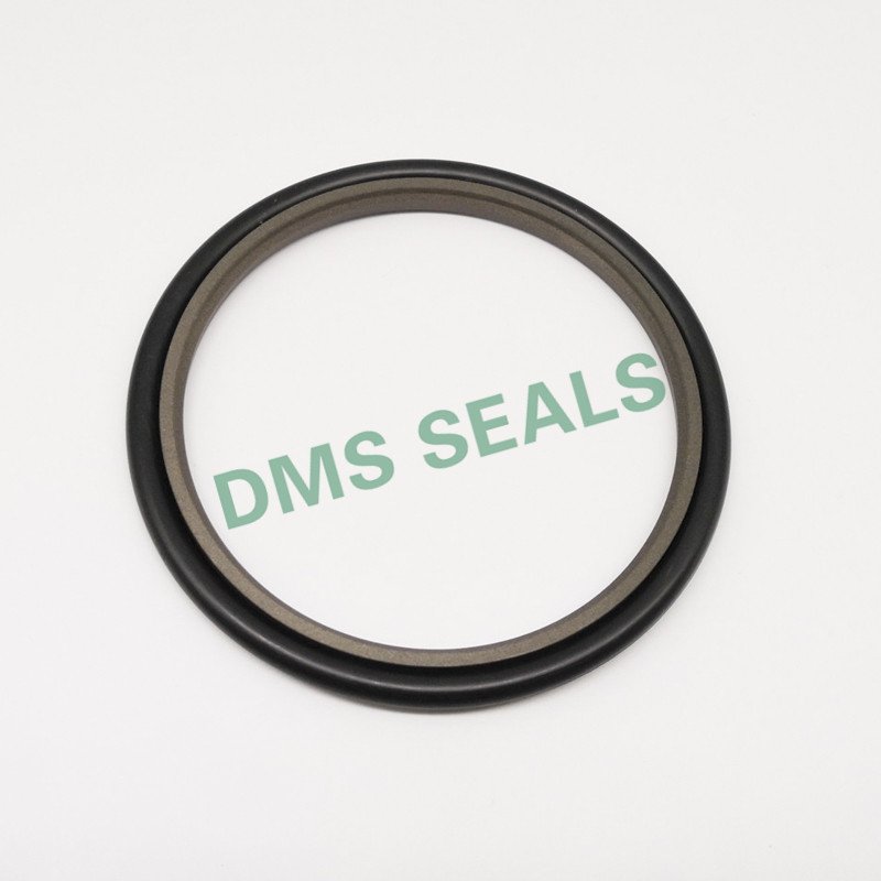 high end hydraulic rod seal installer cost for sale-3