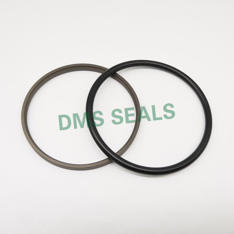 Is there any third party doing Hydraulic Oil Seal quality test?-DMS Seals